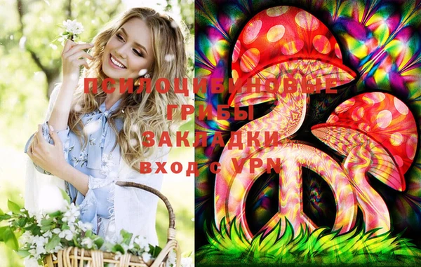 ГАЛЛЮЦИНОГЕННЫЕ ГРИБЫ Алексин