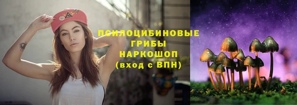 ГАЛЛЮЦИНОГЕННЫЕ ГРИБЫ Абаза