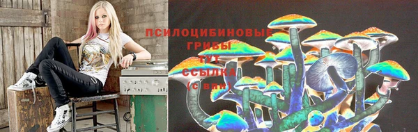 ГАЛЛЮЦИНОГЕННЫЕ ГРИБЫ Абаза