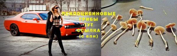 мет Алзамай
