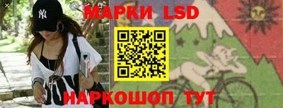 Альфа ПВП Гатчина