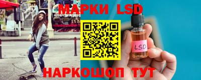 Альфа ПВП Гатчина
