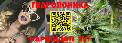 прущие крисы Гагарин
