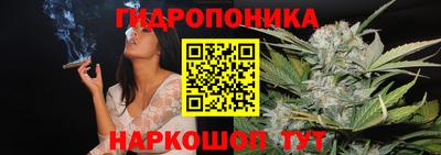 прущие крисы Гагарин