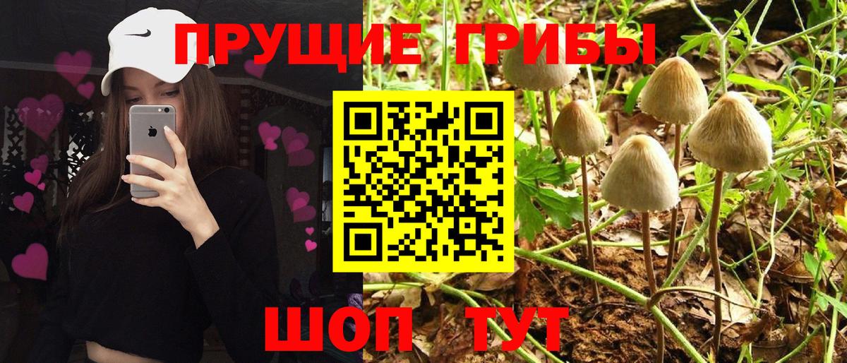 Псилоцибиновые грибы GOLDEN TEACHER  Псилоцибиновые грибы Magic Shrooms  Полевской  Вход с VPN 