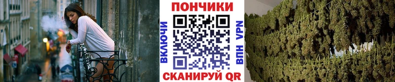 ссылка на мегу ссылка  Полевской  Шишки марихуана сатива 